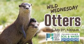 two otters with the text: "Wild Wednesday: Otters"