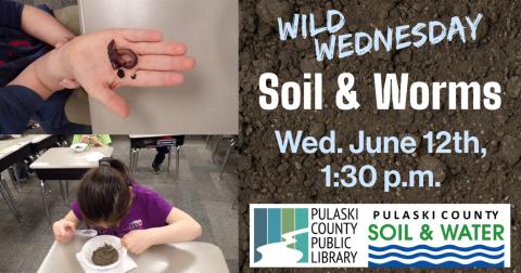 Wild Wednesdays: Soil & Worms