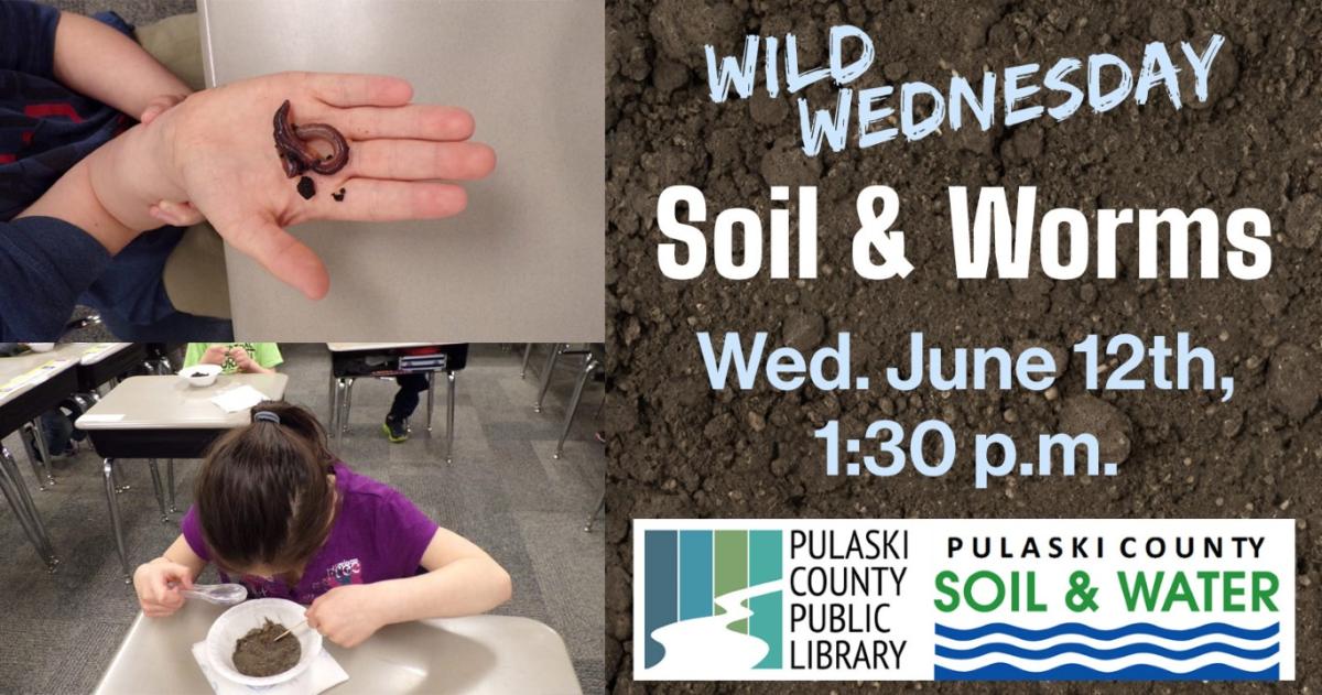 Wild Wednesdays: Soil & Worms