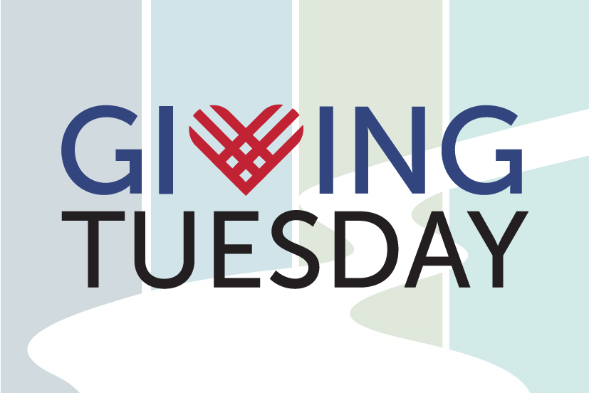 Giving Tuesday logo superimposed on the Pulaski County Public Library logo